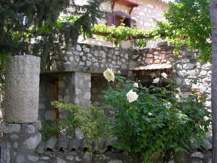 Medusa House Butik Hotel Didim Exterior photo
